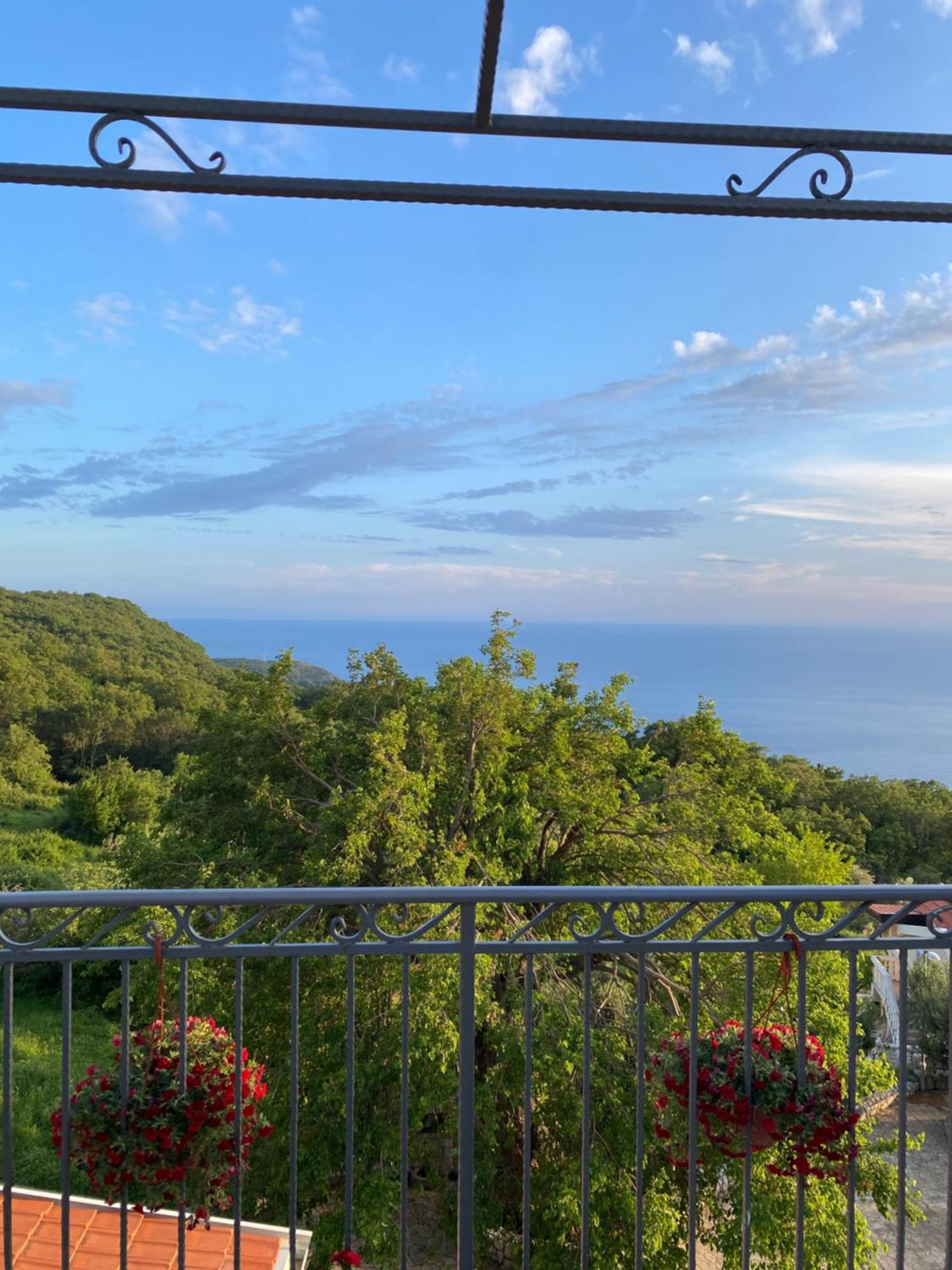 Apartments Bauo Budva Zewnętrze zdjęcie